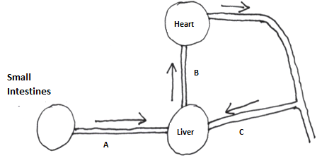 moma bio PP2 q2