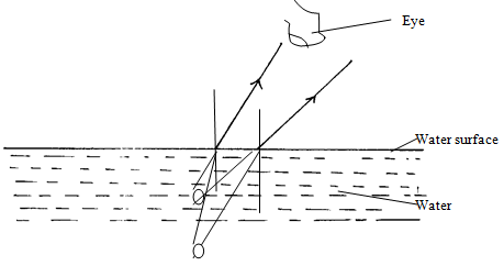 moma phys PP2 ans 11 fig 5