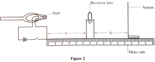 Clamp and bulb holder