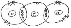 Chemical Bonding for Carbon dioxide