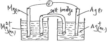 Labelled diagram of Electrochemical cellusing half cells