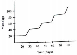 curve of a phylum