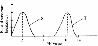 graph on effects of PH on enzymes