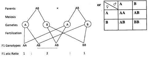 KCSE 2012 Bio PP1 Ans 8