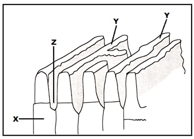 geo1 q4