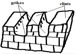 grikes and clints.PNG