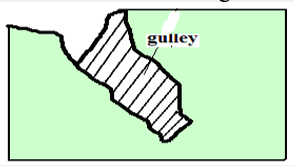 gulley erosion.PNG