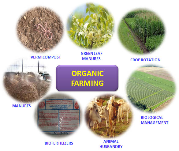 organic farming