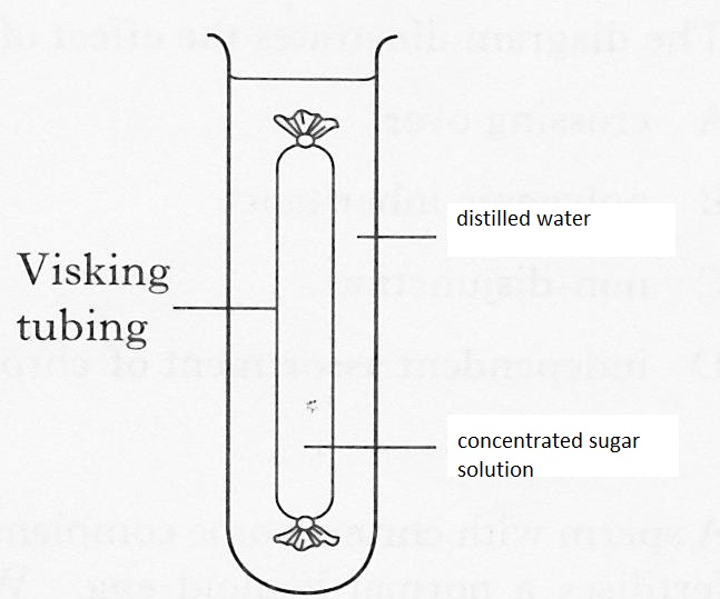 viskingtubingexperiment