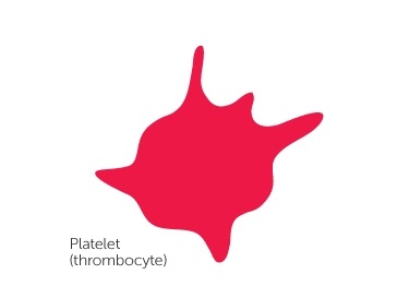 diagram of a platelet 0