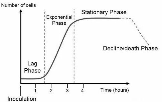 growth curve1