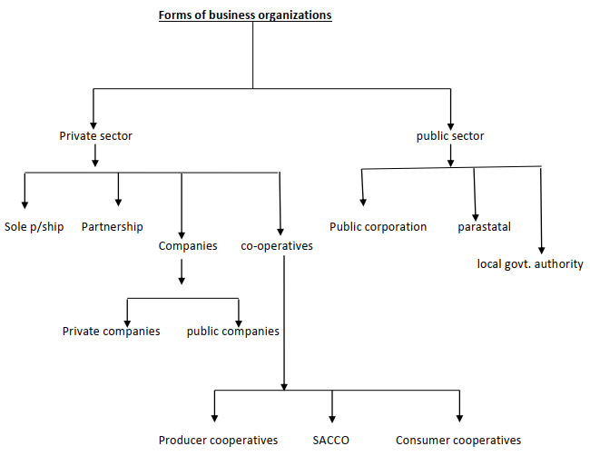 forms of business units