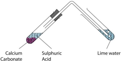 carbonates reacting with acids