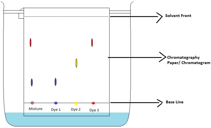 chromatogram