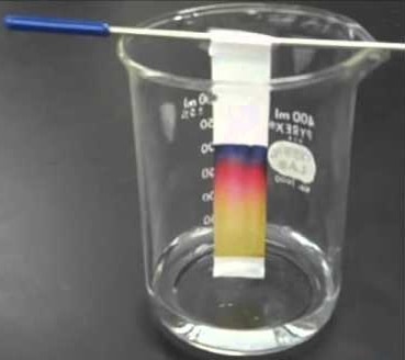 paper chromatography