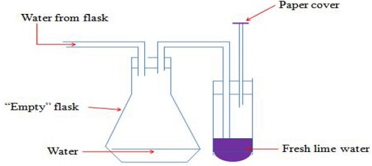 test for carbon iv oxide