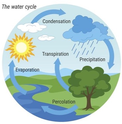 water cycle