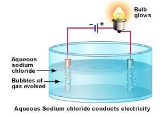 bulb in acqueous sodium chloride