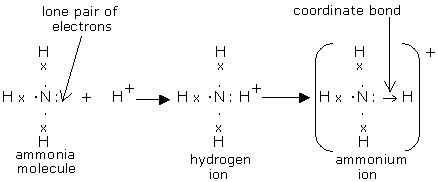 formation of ammonium ion