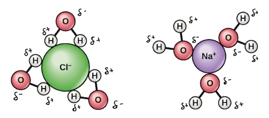 hydrated negative and positive ions