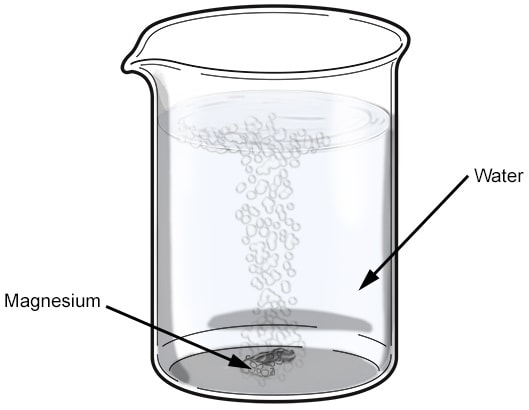 magnesium reaction with water