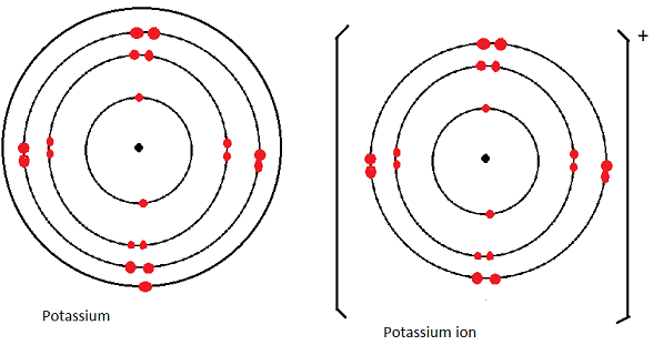 potassium atom vs ion dot cross diagram