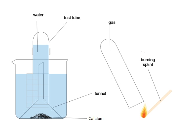 reaction of calcium with water