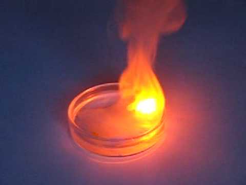 reaction of sodium with water