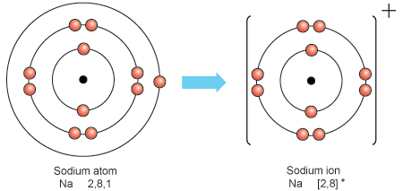 sodium atom sodium atom