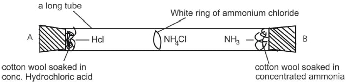 ammonia diffusion