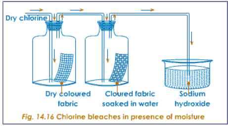 chlorine bleaching