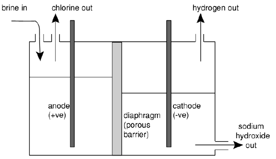 membrane cell