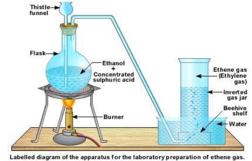 dehydration of alcoh XueAZ