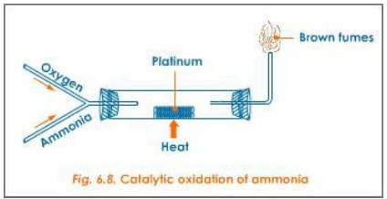 catalytic oxidation WQxsg