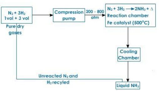 haber process block ohmZo