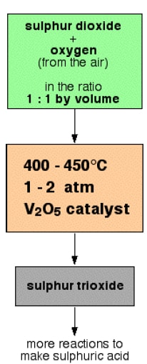 flow scheme of the contact process