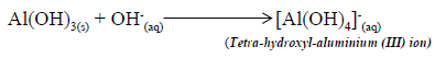 Tetra hydroxyl aluminium III ion