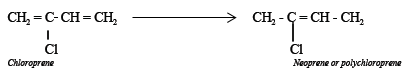 chloroprene