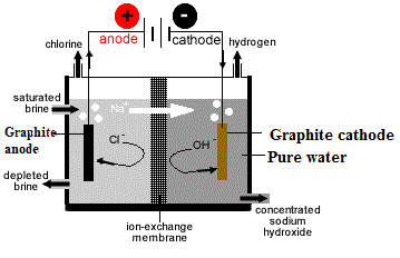 membrane cell