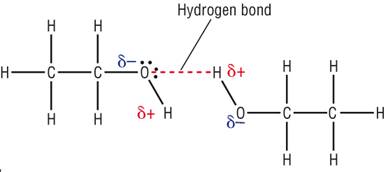 hydrogen bonding in ethanol