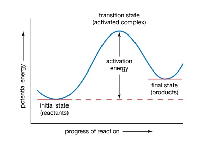 ACTIVATION ENERGY GRAPH