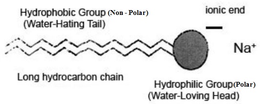 schematic representation of a soap molecule1