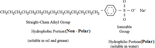 simple representation of a detergent molecule