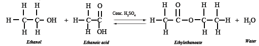 structure of esterification