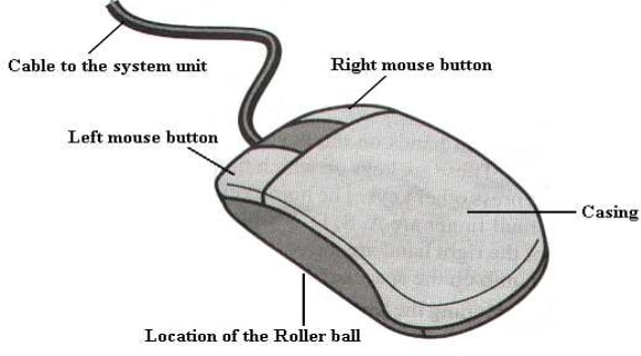 parts of a mouse