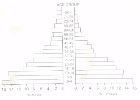 age sex pyramid