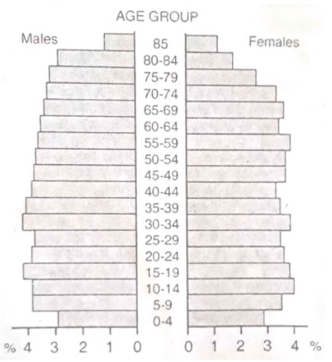age sex pyramid developed country