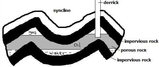 formation of petroleum