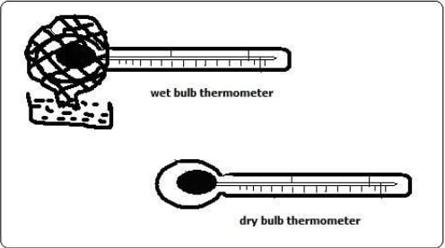 dry and wet bulb thermometer