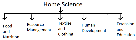 home science branches